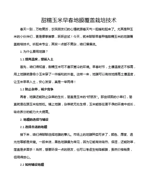 甜糯玉米早春地膜覆盖栽培技术