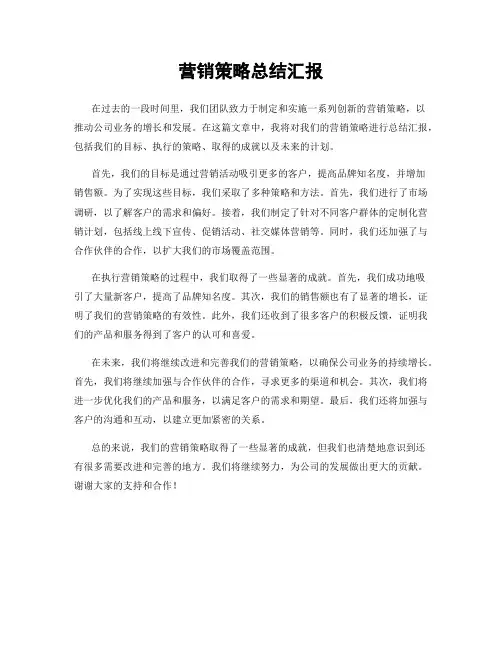 营销策略总结汇报