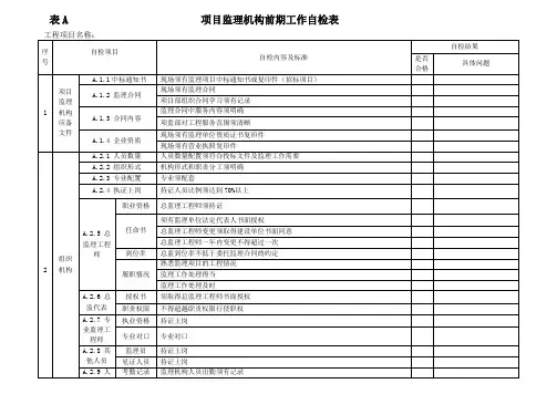 监理项目自查自纠项目表.11修订版教学内容