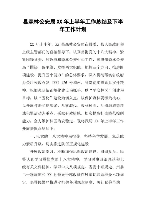 县森林公安局XX年上半年工作总结及下半年工作计划