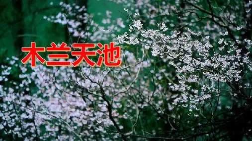 木兰天池,一个带你体验夏日避暑生活的度假胜地