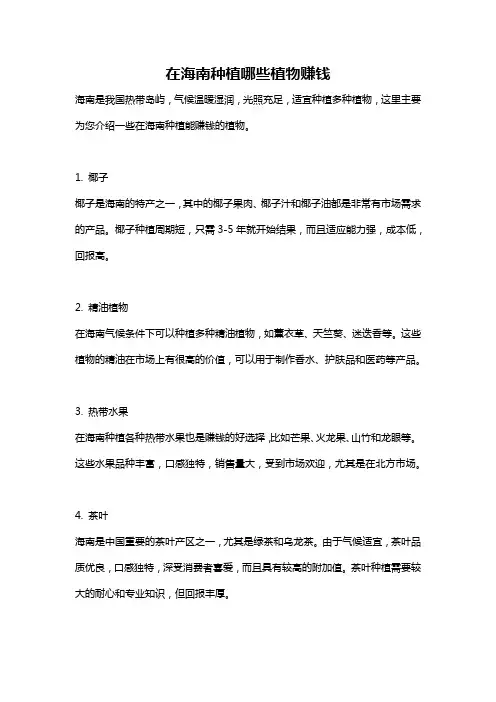 在海南种植哪些植物赚钱