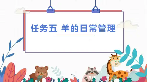 项目三  任务五 羊的日常管理