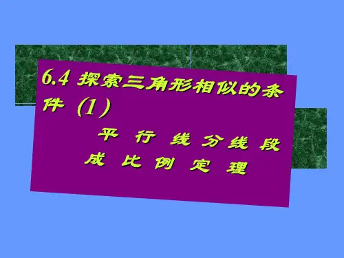 苏科版数学九下6.4《探索三角形相似的条件(1)》课件(共27张PPT)