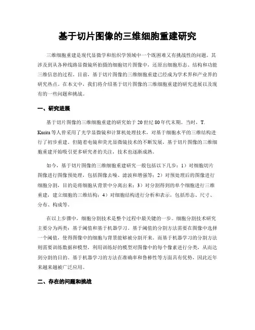 基于切片图像的三维细胞重建研究