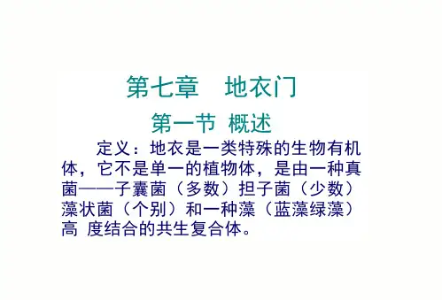 浙中大药用植物学课件07地衣门
