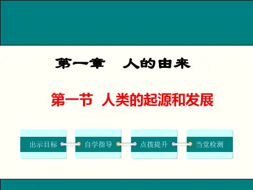 人类的起源和发展课件人教版生物七年级下册