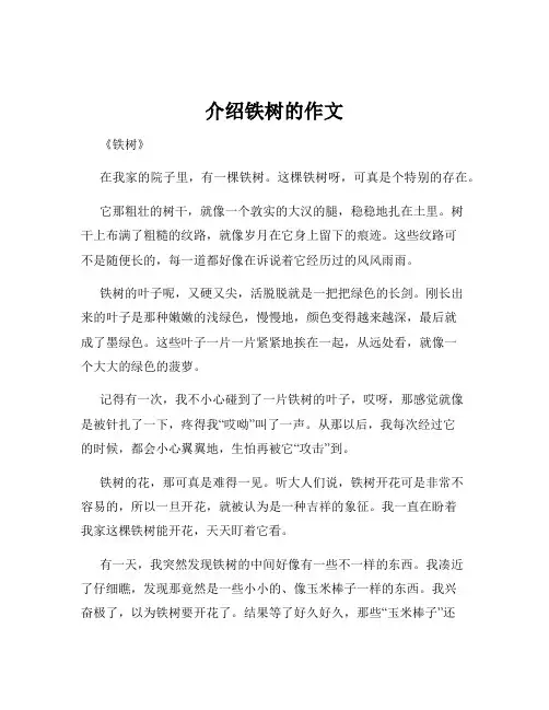 介绍铁树的作文