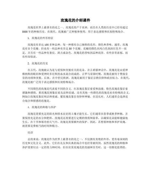 玫瑰花的介绍课件