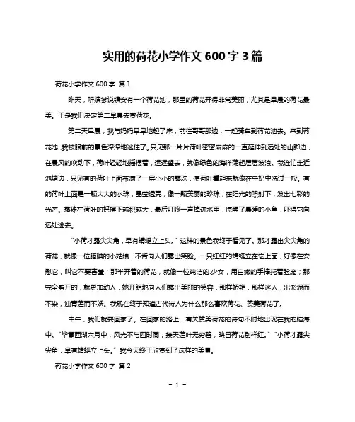 实用的荷花小学作文600字3篇