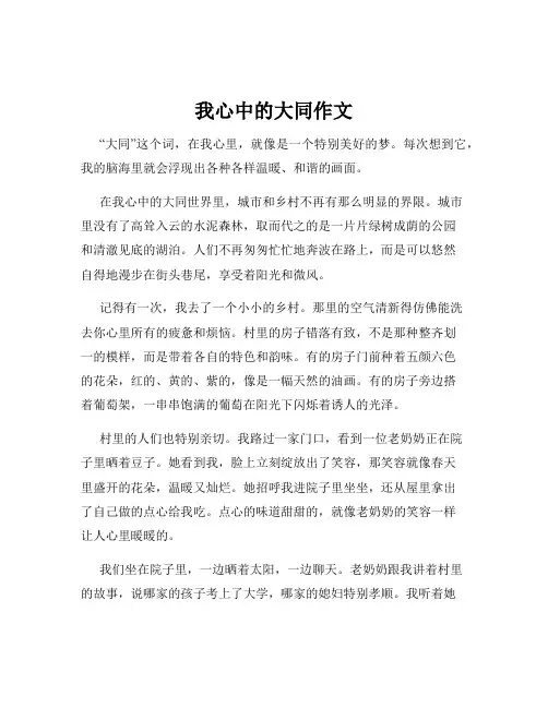 我心中的大同作文