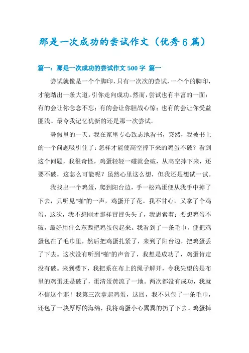 那是一次成功的尝试作文(优秀6篇)
