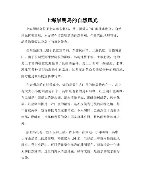 上海崇明岛的自然风光