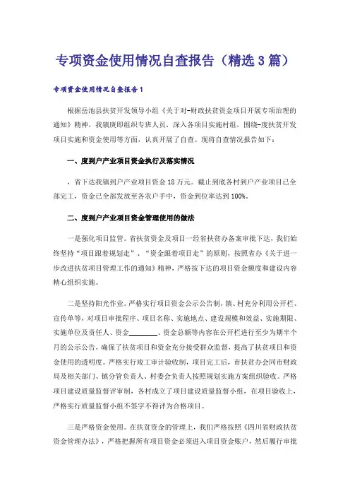 专项资金使用情况自查报告(精选3篇)