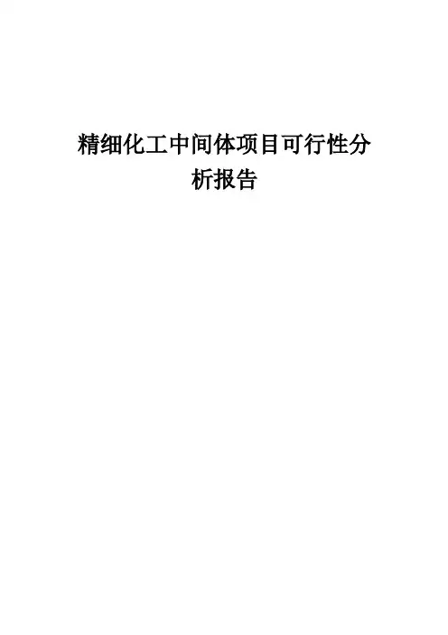 精细化工中间体项目可行性分析报告