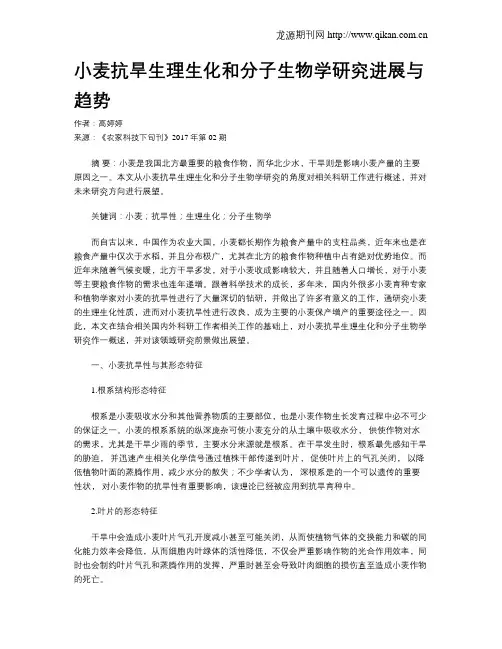 小麦抗旱生理生化和分子生物学研究进展与趋势