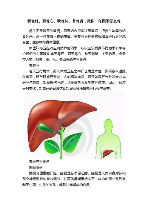春养肝、夏养心、秋养肺、冬养肾，教你一年四季怎么养