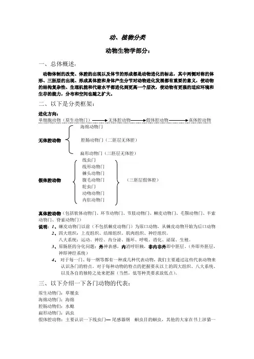 动植物分类