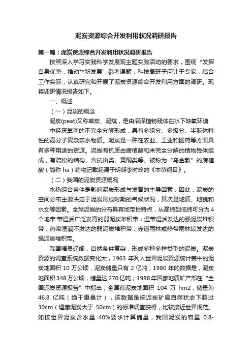 泥炭资源综合开发利用状况调研报告