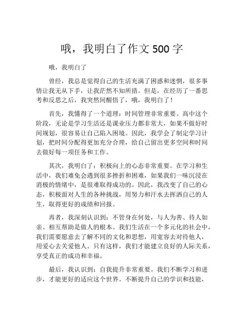 哦,我明白了作文500字