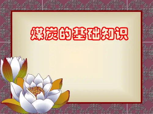 煤炭的基础知识