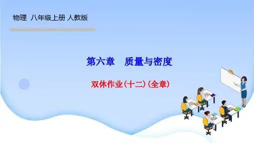人教版八年级物理上册作业课件 第六章 质量与密度 双休作业(十二)(全章)