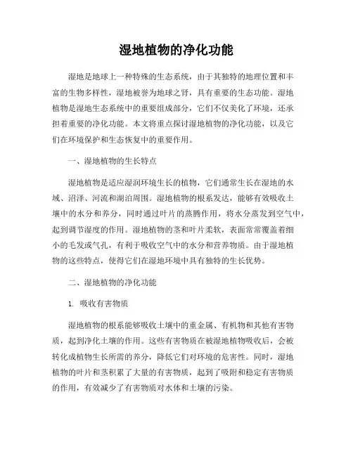 湿地植物的净化功能