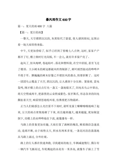 暴风雨作文600字-最新范文