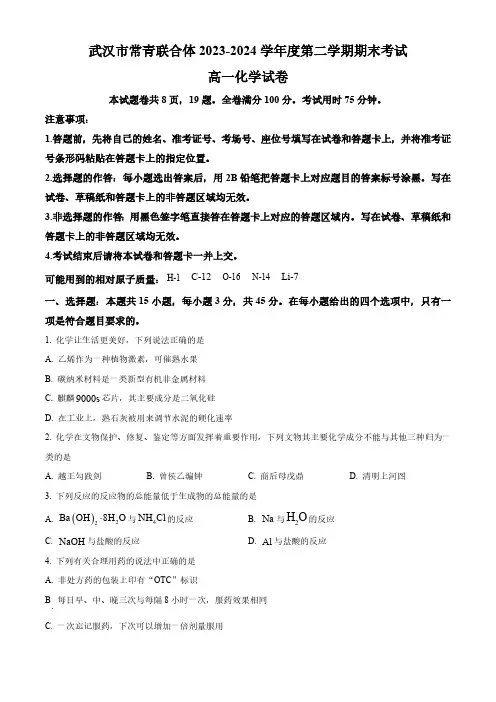 湖北省武汉市常青联合体2023-2024学年高一下学期期末考试化学试卷 (含解析)