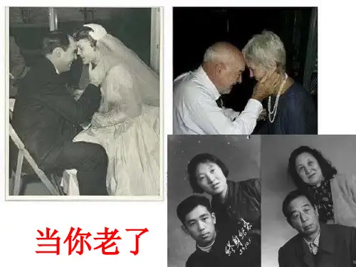 当你老了  诗歌朗诵
