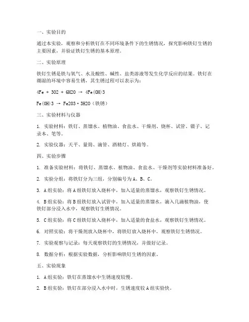 铁钉生锈实验报告过程