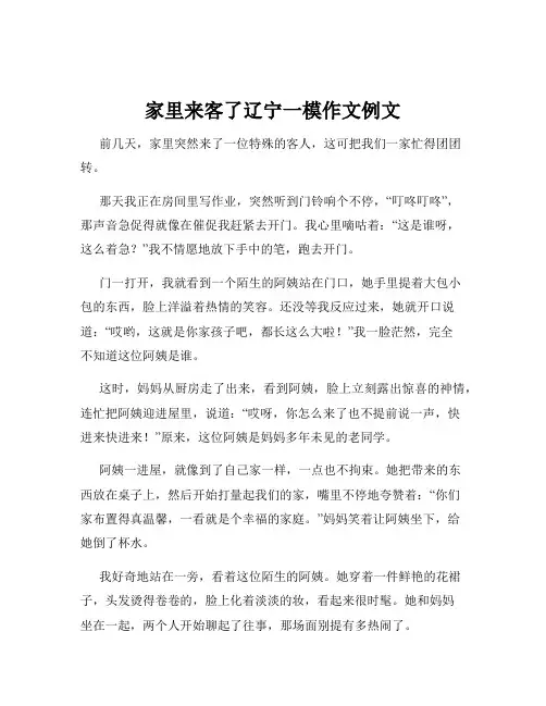 家里来客了辽宁一模作文例文
