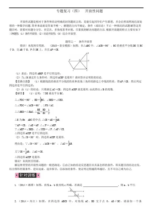 中考专题复习之开放性问题