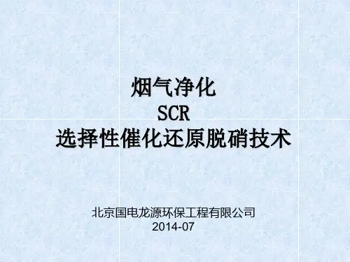 SCR培训课件
