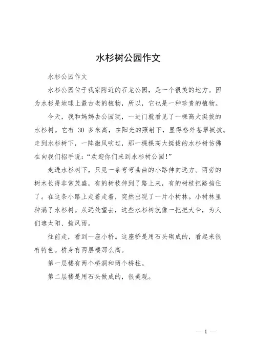 水杉树公园作文
