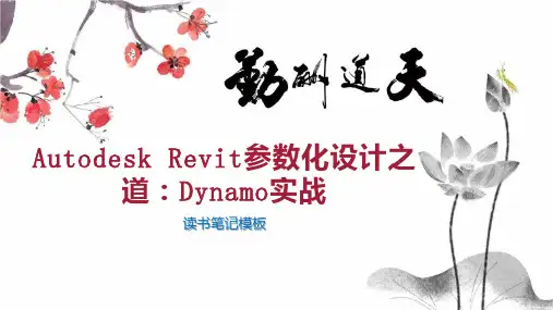 Autodesk Revit参数化设计之道：Dynamo实战