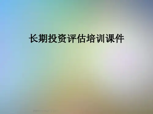 长期投资评估培训课件