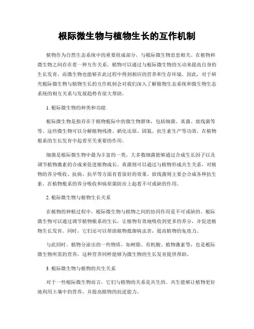 根际微生物与植物生长的互作机制