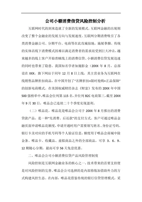 公司小额消费信贷风险控制分析.docx