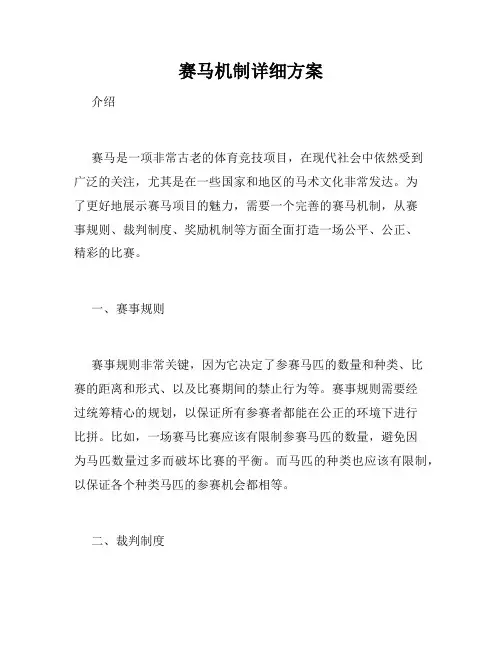 赛马机制详细方案