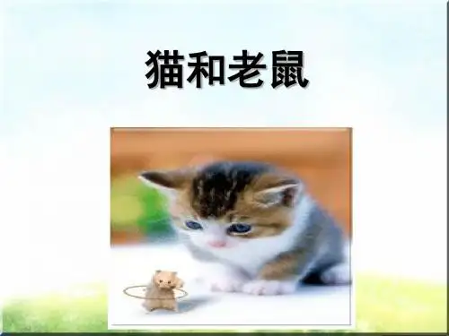 语文S版一下《猫和老鼠》ppt课件1