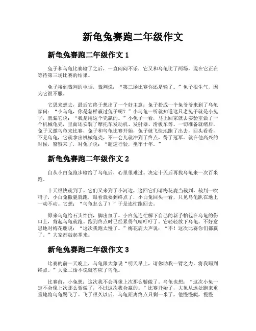 新龟兔赛跑二年级作文