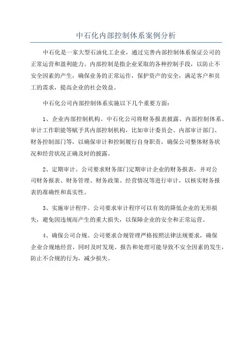 中石化内部控制体系案例分析