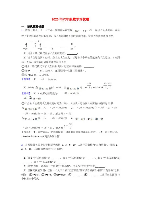 2020年六年级数学培优题