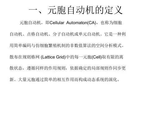 元 胞 自 动 机