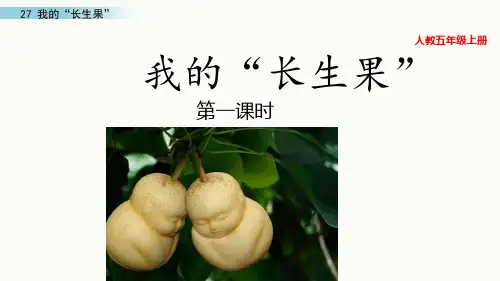 新版五年级上册-26 我的“长生果”人教(部编版)(共11张PPT)