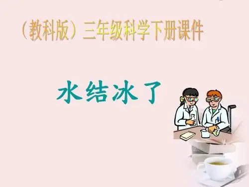 《水结冰了》小学科学(1)