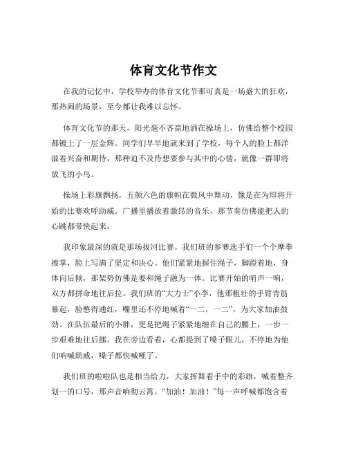 体肓文化节作文
