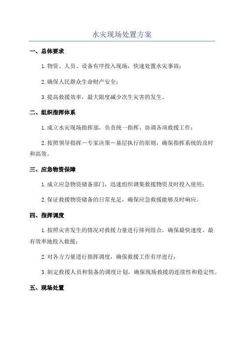 水灾现场处置方案