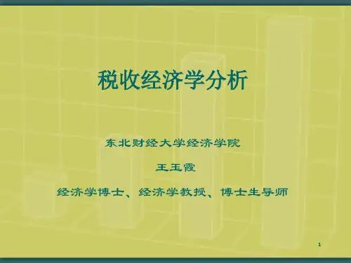 税收经济学分析